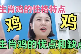 生肖鸡的性格特点，属鸡人优点和缺点，出生鸡年为人世故成熟精明视频封面