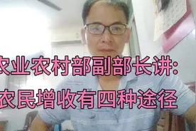 农民增收的四种途径，权威领导发话了，我们一起听听！视频封面