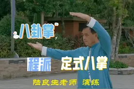 定式八掌·程派八卦掌#密云区武术协会#陆良生老师演练#定式八掌