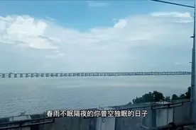 坐深圳地铁11号线可以看见蔚蓝的大海，海中有广深沿江第二高速。视频封面