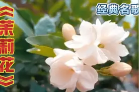 著名歌唱家演唱的《茉莉花》，歌声唯美动听，令人回味无穷视频封面