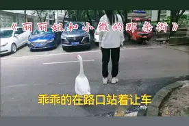 出来偶遇呀在那条街😜听小微啪啪的脚步声😘