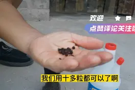 消灭蚊子的土办法，我们自己在家配制，方便又简单视频封面