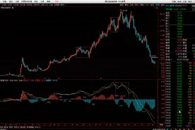中公教育可以抄底了吗？视频封面