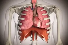 河南发大水，一分钟教会你怎么抢救溺水者。。。