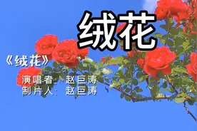 男声版《绒花》，唱出柔情！唱出阳刚！赵巨涛传唱经典歌曲！视频封面