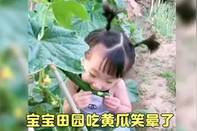 搞笑视频合集，生活中的宝贝们个个幽默风趣，让人笑的脚抽筋