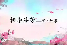 桃李芬芳照片故事视频封面