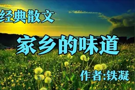 经典散文，《家乡的味道》，作者铁凝视频封面