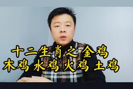 十二生肖之木鸡，火鸡，土鸡，金鸡，水鸡性格特性的不同之处视频封面