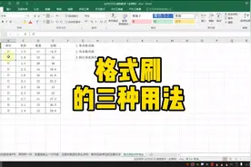 Excel格式刷的三种用法视频封面