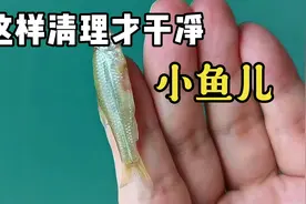 小鱼儿这样清理才干净，吃起来才放心！视频封面