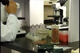 第22集｜教授帮忙医疗爷爷#情牵百子柜#