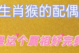 十二生肖婚姻，属猴的最佳对象是谁，看看你遇到了没有视频封面