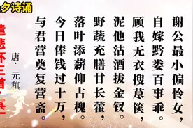 最悲伤悼妻古诗•遣悲怀三首•其一•唐•元稹视频封面