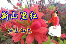 精选最新版背面《新山里红》歌声唯美旋律，悦耳动听，歌好舞美视频封面