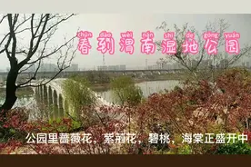 从西安走河堤路去渭南，沿途风景很美，还遇见美丽的渭南湿地公园视频封面