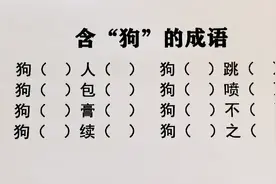 8个含“狗”字的成语填空，有两个特别难，不知道您会不会？视频封面