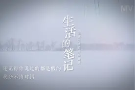 昨夜才见，月朗云稀
今晨已是，雪漫湖堤
空灵静洁，涤荡尘心视频封面