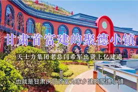 甘肃庆阳首富建的聚德小镇，天士力闫希军出资上亿建造，太漂亮了视频封面