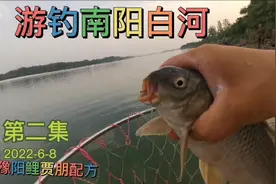 夏季野钓鲤鱼包心钓法野钓南阳白河分享钓鱼技巧分享钓位豫阳鲤视频封面