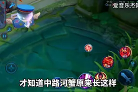 打了这么久的王者！我终于知道河蟹长这样了！LSP们快去试试！视频封面