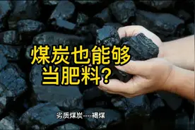 有人利用劣质煤炭当肥料施用，煤炭是肥料吗？我们来看看视频封面