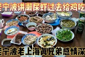 78岁老宁波老上海两兄弟感情深，老宁波说濑尿虾过去是给鸡吃的视频封面