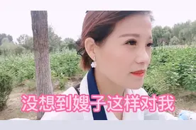 离婚这几年，嫂嫂对我的态度真的是太伤我的心了视频封面