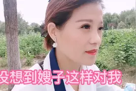 离婚这几年，嫂嫂对我的态度真的是太伤我的心了视频封面