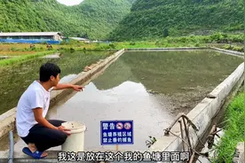 晚上田里抓黄鳝、泥鳅、鱼，大的拿去卖小的拿来养，为了生活视频封面