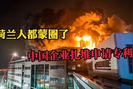 中国企业扎堆去外国申请专利，丢脸丢到荷兰了，结果被罚上千万！视频封面