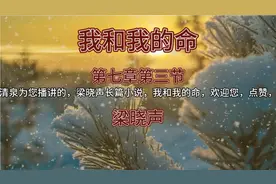 梁晓声长篇小说《我和我的命》第七章第三节视频封面