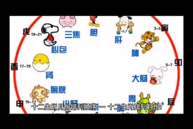 十二生肖月份排列顺序视频封面