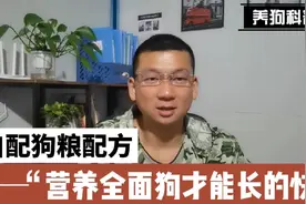 肉狗养殖 狗粮配方 营养全面狗狗才能长的快！！！视频封面