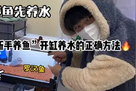 新手养鱼开缸养水的正确方法视频封面