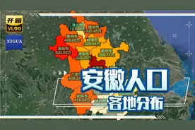 安徽人口，各地具体分布。#安徽#第七次人口普查视频封面