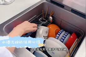 用了两年，客观点评水槽洗碗机视频封面