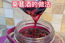 桑葚酒好喝又养人，好多人泡几个月就变味儿，快来看看正确做法视频封面