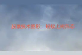 股票技术图形：蚂蚁上树视频封面