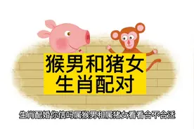 生肖配婚你信吗，属猴男和属猪女，看看他们合不合适。视频封面