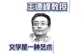 王德峰教授：文学和其他文字不同，文学是一种艺术视频封面