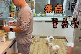 不再抗拒纸尿裤的十五，现在我每天出门和晚上睡觉时都配合着穿上视频封面