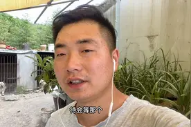 网友叫我多拍狗少出镜，但是我发现出镜多了好处还不少呢