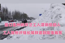 营口环卫大爷借铁锹2分钟事件，工人被批评组长被辞退到底谁最冤视频封面