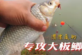 滑漂逗钓：鱼钩没选对，跑鱼一大堆！视频封面