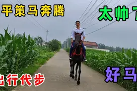 村里最穷的小伙子儿时的梦想就是能买一匹马，如今实现了愿望，帅视频封面
