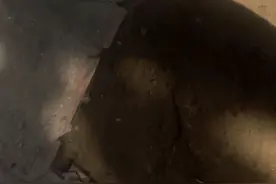 光脚踩泥，爽视频封面