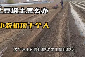 土豆培土用啥机器？覆土如何均匀？小型培土机一次搞定！视频封面