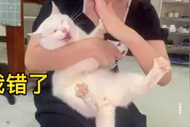 倾盆大雨也阻止不了猫猫出去玩，结果就是被主人暴揍一顿视频封面